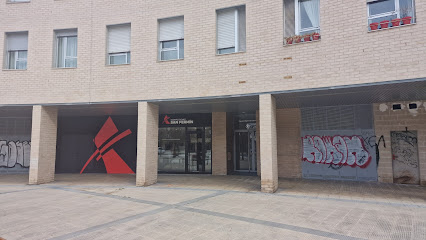 Desinfecciones San Fermín - Tratamiento de termitas - Carcoma - Tratamientos de madera - Pamplona
