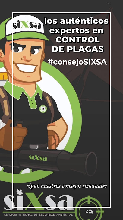 siXsa - Seguridad Ambiental. CONTROL DE PLAGAS. Los auténticos expertos en termitas y carcoma. - Talavera de la Reina