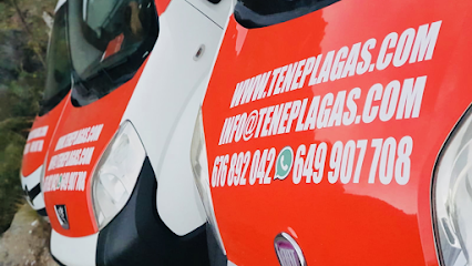 Control de Plagas - Teneplagas - San Isidro