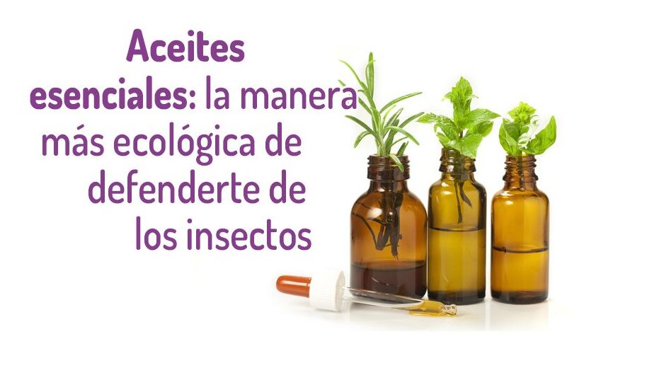 aceites esenciales repelentes