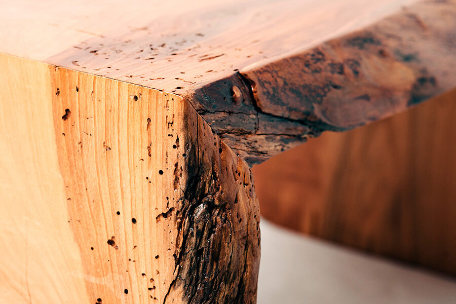 carcoma en mueble de madera