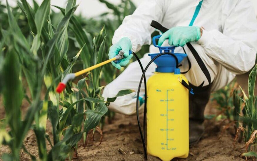 fumigacion ecologica segura