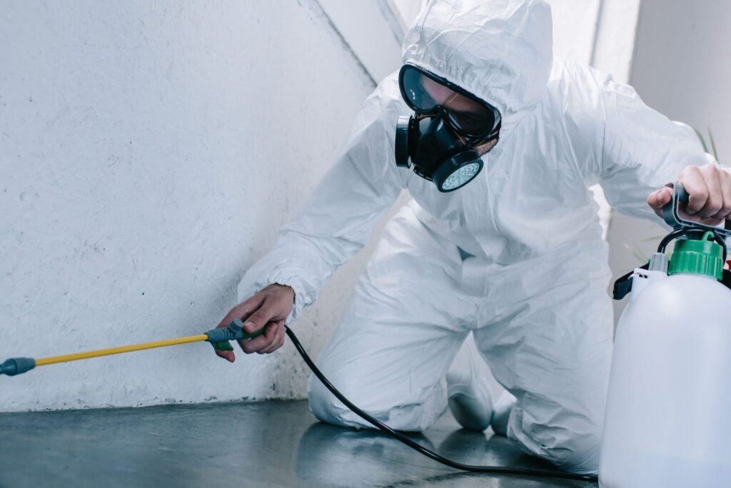 fumigaciones profesionales y efectivas
