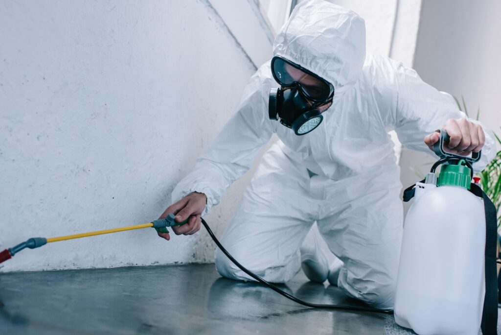 fumigadores profesionales realizando fumigacion