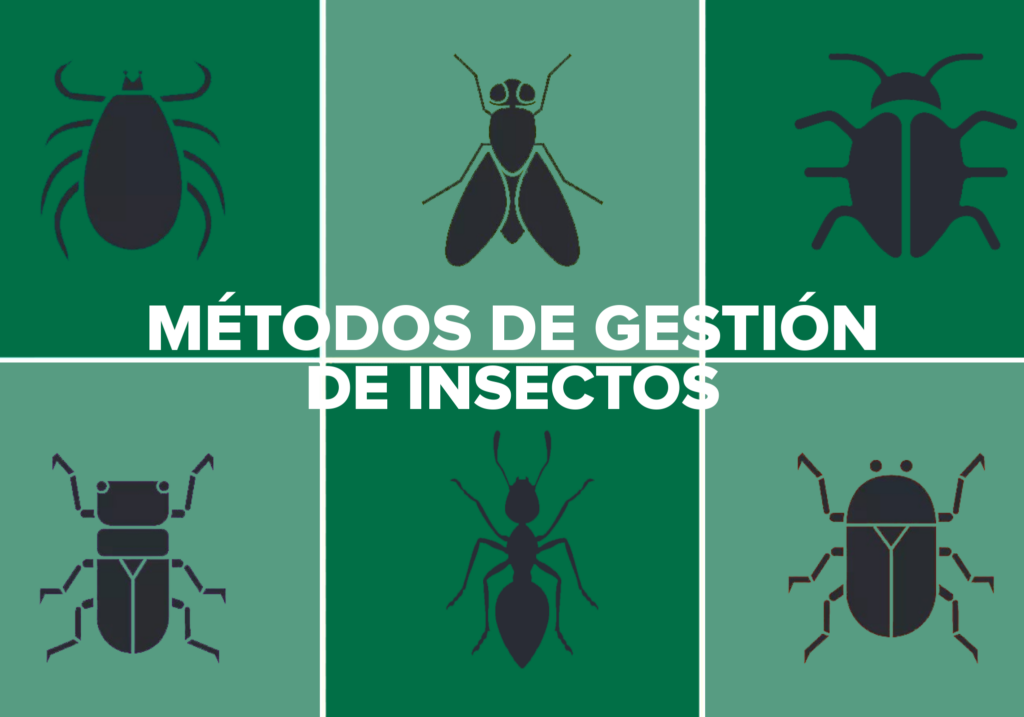 insectos y metodos de control