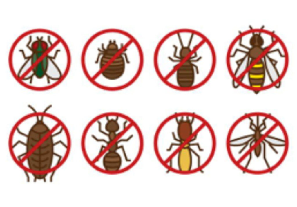 insectos y prevencion