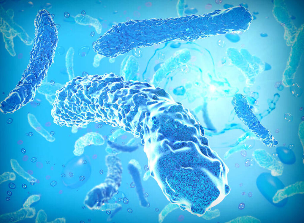 legionella en agua potable