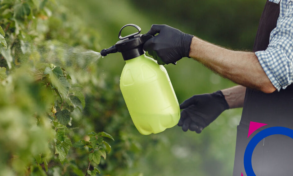 planta de local fumigado