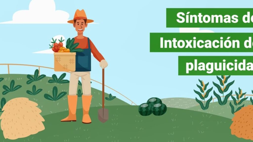 sintomas de intoxicacion por insecticida