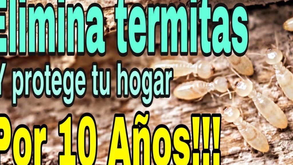 termitas exterminadas con xylamon
