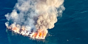 termitas incendiando las torres